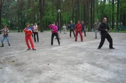 Tai chi Miesto sode