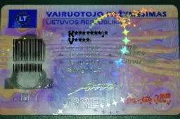 Dingo vairuotojo pažymėjimas, automobilio techninis pasas ir taksometro patikros lapas