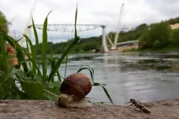 Naujojo Alytaus miesto tilto per Nemuną atidarymas – rudenį (TV REPORTAŽAS)