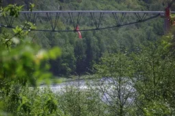 Alytaus rajone esančiuose miškuose - fizinių asmenų lankymosi ribojimas, mieste - atviros ugnies naudojimo draudimas