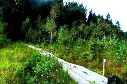 Metelių regioninio parko teritorijoje - akcijos „Grybai ir uogos“ ir „Rezervatai“ - siekis išsaugoti miško ekosistemas