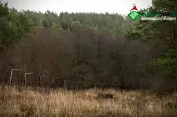 Alytaus slidinėjimo trasoje auga krūmai, kad čia mėginta kurti žiemos mėgėjų rojų primena tik keltuvai (TV)