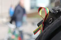 Lietuvos valstybės atkūrimo dienos renginiai Alytaus mieste ir rajone