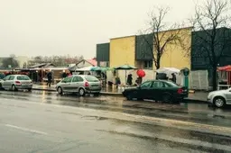 Moters dieną daugiausiai nuperkama tulpių