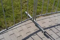 Brovėsi į sirgalių zoną, stumdėsi su apsaugos darbuotojais ir juos įžeidinėjo