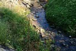 Su Upelio gatvės projektu - nauja danga ir kita infrastruktūra