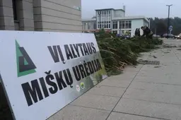 Pasipuošti kvapnia eglės šaka panoro  kaip niekada daug alytiškių
