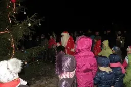 Užupių eglutė įžeibta Parulių šeimos ir bendruomenės iniciatyva