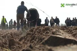 Artojai vagoti turėjo pagal naujas taisykles (+TV reportažas)