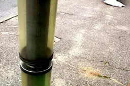Miesto autobusų maršrutuose ir jų grafikuose Alytuje – betvarkė