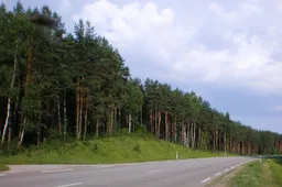 Nuo kelio Naujieji Valkininkai-Daugai-Alytus nulėkė policininkės vairuojamas automobilis, nukentėjo keleiviai