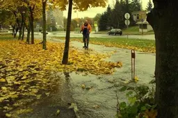 Statybininkų gatvėje – senų vamzdynų bandymai, naujas nuotekynas dar neįrengtas (VIDEO)