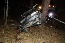 „Volvo XC70“ atsitrenkė į pakelės medžius – vairuotojas žuvo