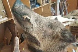 „Alytaus piliečiai” nesutinka, kad už vaikų švietimui skirtus pinigus būtų rengiami medžiotojai