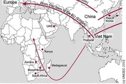 „Niekieno“ automobilyje rasti septyni Vietnamo Respublikos piliečiai