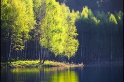 Ant dviračių tako prie ežero rastas B. L.