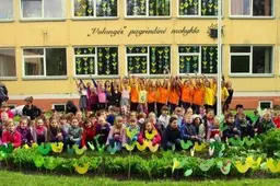 Pievelėje prie „Volungės“ mokyklos pražydo gausybė volungėlių