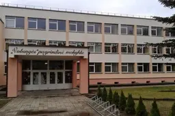 Pavogtos prie „Volungės“ pagrindinės mokyklos augusios eglutės