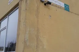 Alytuje teks už­da­ry­ti vie­ną ar­ba dvi pa­grin­di­nes mo­kyk­las?
