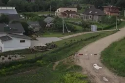 Pas „Alfa Romeo“ keleivį Voveraičių gatvėje - augalinės kilmės turinys