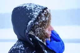 Ugniagesiai gelbėtojai perspėja: artinasi pūgos ir šalčiai