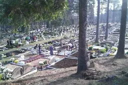 Alytaus kapinėse bus vykdomi medžių pjovimo ir genėjimo darbai