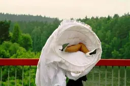 Projekto „Vizualus menas. Alytus“ parodos laukia kūrėjų – profesionalų, studijuojančių ir fotografuojančių