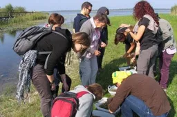 Europos charofitologus Žuvinte pradžiugino niekur kitur Lietuvoje nerandamas kurklinis menturdumblis
