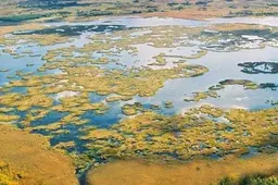 Europa įvertino dzūkų ir suvalkiečių gamtosaugininkų veiklą
