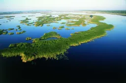 Paukščių „eurovizija“ visam pasauliui skambės ir iš Žuvinto rezervato