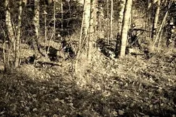 Prisimintas Žuvinto-Palių mūšis