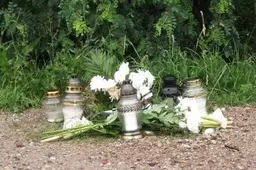 Kriminalų suvestinė: apvirto ir žuvo be šalmo važiavęs motociklininkas, į veidą papurškė dujų, tvirkino keturmetę