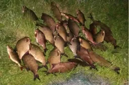 Aplinkosaugininkai brakonierius „lankė“ Giluičio, Alovės ir Morkavo ežeruose