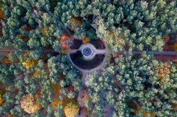 Nauja savivaldybės želdynų, želdinių apsaugos, priežiūros ir tvarkymo komisija