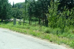 Neprižiūrimų sklypų Alytaus mieste mažėja