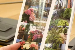 Konkursas: ieškomi gražiausiai, išradingiausiai ir geriausiai aplinką tvarkantys Alytuje