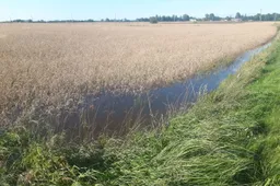 Alytaus rajone – ekstremalioji situacija!