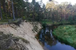 Savaitgalis Dzūkijoje: ką aplankyti miškingiausiame šalies krašte?