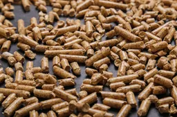 Ar žinojote, kad katės kraikas gali būti ekologiškas?