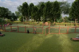 Pristatyta augintinių erdvės Jaunimo parke vizualizacija