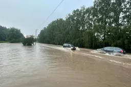 Kaip pastebėti vandens ar potvynio apgadintą transporto priemonę?