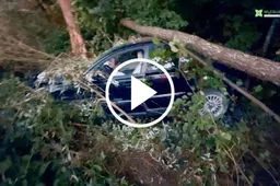 Alytaus rajone susidūrė automobiliai, vieną užvirto medis