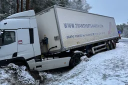 Varėnos rajone po vilkiko ir automobilio susidūrimo žuvo moteris