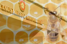 VTEK: Alytaus miesto savivaldybės administracijos vyriausioji specialistė pažeidė įstatymą