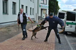 Alytiškius sveikino ir Amsis, ir Koksas