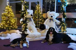 Kalėdos artėja, tegu nušvinta Alytus!