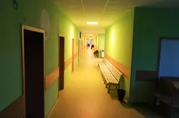 Lietuvoje didžiausias sergamumas – Alytaus apskrityje, Prienų rajone – jau gripo epidemija