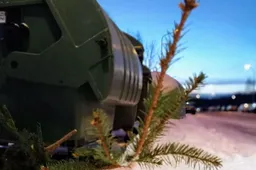 Kur palikti nupuoštas eglutes?