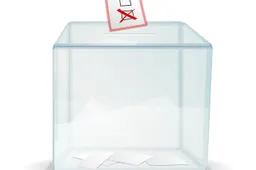 Rinkimų naujovė: nebeliks užuolaidų balsavimo kabinose