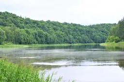 Skirta lėšų kraujasiurbių lervutėms Nemune naikinti